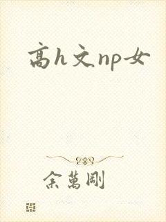 高h文np女
