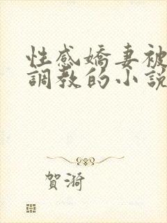 性感娇妻被上司调教的小说封面