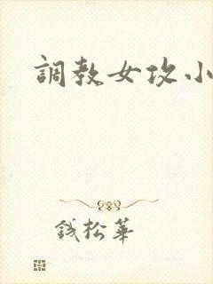调教女攻小说封面