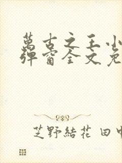 万古之王小说无弹窗全文免费阅读