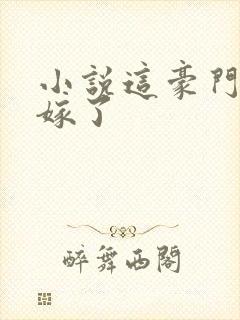 小说这豪门我不嫁了