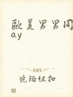 欧美男男同志gay封面