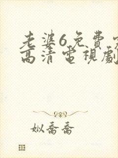 老婆6免费完整高清电视剧看封面