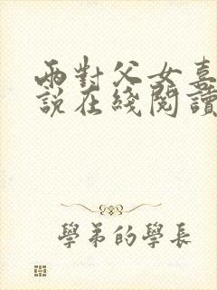 两对父女喜剧小说在线阅读封面