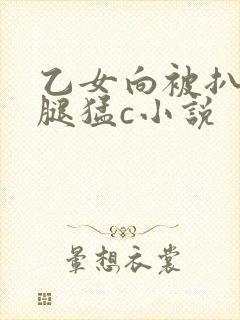 乙女向被扒开双腿猛c小说