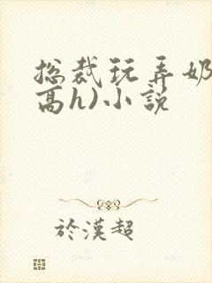 总裁玩弄奶头(高h)小说