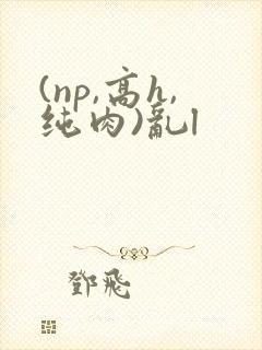 (np,高h,纯肉)乱l
