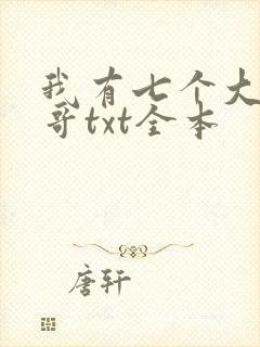 我有七个大佬哥哥txt全本