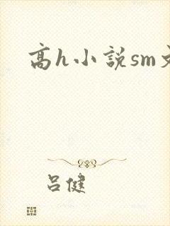 高h小说sm文