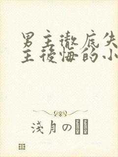 男主彻底失去女主后悔的小说