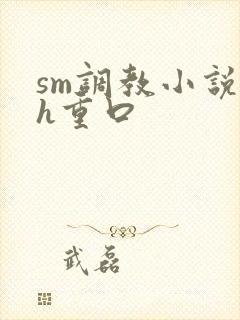 sm调教小说高h重口