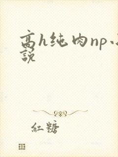 高h纯肉np小说