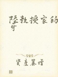 陆教授家的小月牙