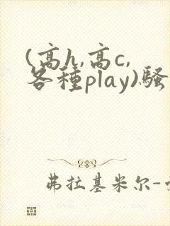 (高h,高c,各种play)骚话小说