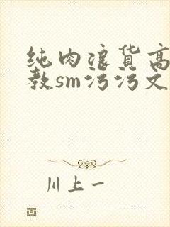 纯肉浪货高h调教sm污污文