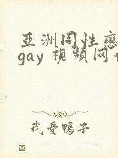 亚洲同性恋男 gay 视频网站