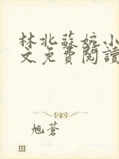 林北苏婉小说全文免费阅读无弹窗