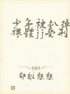 少年被扒掉裤子裸体jj受刑的小说