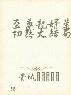 至尊龙婿叶辰萧初然大结局