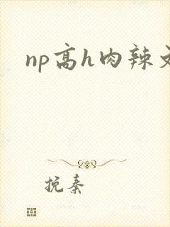 np高h肉辣文