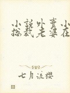 小说外卖小哥的总裁老婆在线阅读