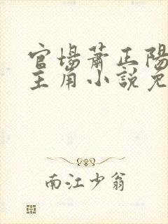 官场萧正阳李冰主角小说免费阅读