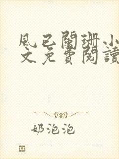 风已阑珊小说全文免费阅读最新章节