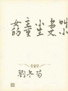 女主小名叫娇娇的重生文小说