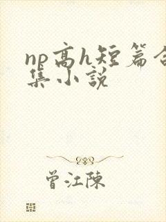 np高h短篇合集小说