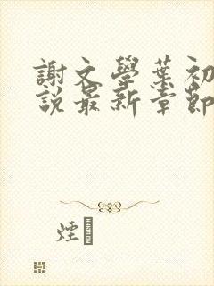 谢文学叶初瑗小说最新章节免费阅读