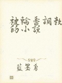 被轮番调教高潮的小说封面