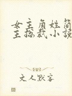 女主角姓简的男主总裁小说