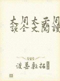 大周太子周铮小说全文阅读无弹窗封面