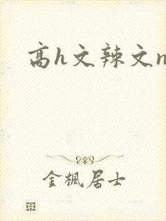 高h文辣文np