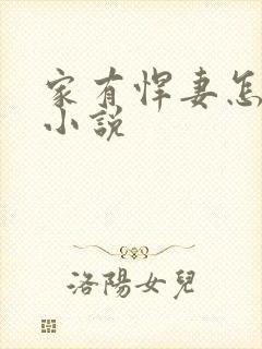 家有悍妻怎么破小说