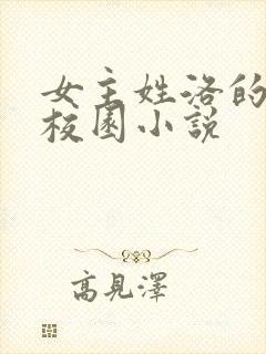 女主姓洛的现代校园小说封面