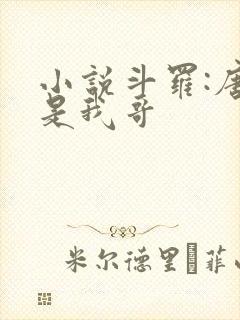 小说斗罗:唐三是我哥封面