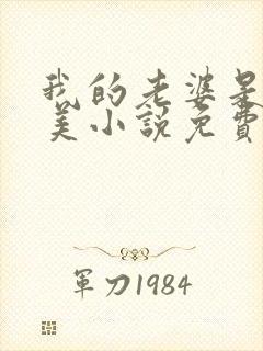 我的老婆是白富美小说免费阅读