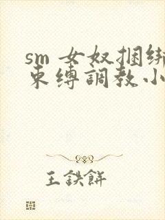 sm 女奴捆绑束缚调教小说