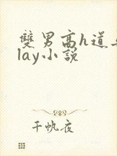 双男高h道具play小说