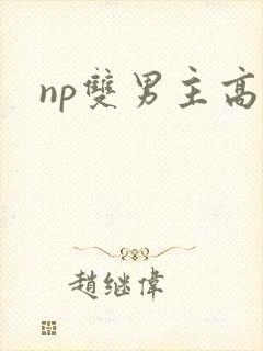 np双男主高h