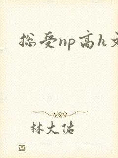 总受np高h文封面