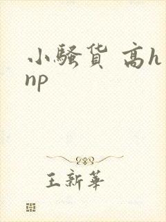小骚货 高h np