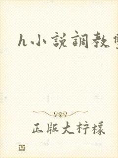 h小说调教双性封面