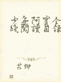 少年阿宾全文在线阅读目录