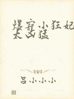 爆宠小狂妃皇叔太凶猛