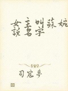 女主叫苏婉的小说名字