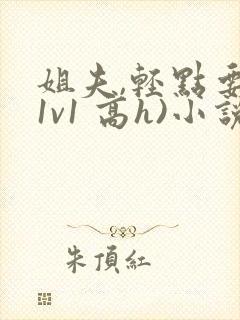 姐夫,轻点要(1v1 高h)小说