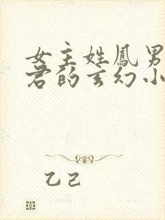 女主姓凤男主姓君的玄幻小说