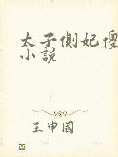 太子侧妃傻乎乎小说